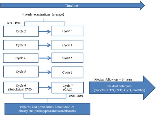 Study design. HTN, hypertension.
