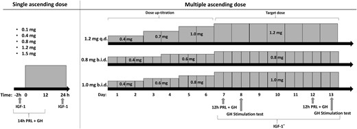 Clinical trial design for the SAD and the 13-d MAD part of the study. In the SAD part, PRL and GH were sampled from 2 h predose until 12 h postdose. IGF-1 was sampled before dosing and 24 h after dosing. In the MAD part, dosage uptitration consisted of 2 or 3 steps, after which the target dose was administered for a 7-d period. PRL and GH were sampled for 12 h (1 h predose until 11 h postdose) on days 7 and 12. A GH stimulation test was performed on days 8 and 13. IGF-1 was sampled 1 h after the morning dose on days 7 to 13. Subjects treated with placebo followed the same schedule. IGF-1* indicates once-daily sampling. b.i.d., twice-daily dosing; q.d., once-daily dosing.