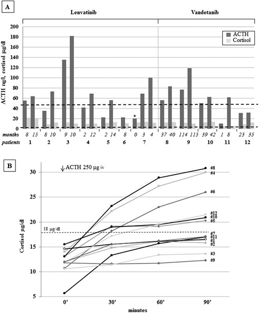 (A) Cortisol (μg/dL) and ACTH (ng/L) levels in the patients treated with lenvatinib (n = 7) and vandetanib (n = 5) according to treatment duration. In particular, the first adrenal function evaluation and the last assessment before the start of cortisone acetate replacement are reported. Interestingly, for patient 7, the evaluation of adrenal function was available before the start of the lenvatinib treatment (asterisk), and the two following evaluations without cortisone acetate therapy are also reported. The lowest normal cortisol level (5 μg/dL) and the highest normal ACTH level (50 ng/mL) are reported in the figure. (B) Cortisol levels at baseline and at 30, 60, and 90 minutes after infusion of 250 mμg ACTH in the 12 patients. CA replacement treatment was started in patients 1, 2, 3, 7, 9, and 11. Peak cortisol levels <500 nmol/L (18 μg/dL, dotted line) at 30 or 60 minutes indicate adrenal insufficiency.