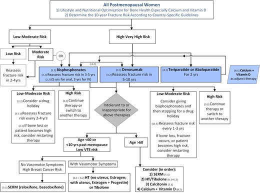 Algorithm for the management of postmenopausal osteoporosis. Note that in this algorithm, we considered that a determination of fracture risk would include measurement of lumbar spine and hip BMD and inserting the total hip or femoral neck BMD value into the FRAX tool. Using that FRAX algorithm, we define the following risk categories: “low risk” includes no prior hip or spine fractures, a BMD T-score at the hip and spine both above −1.0, and 10-year hip fracture risk <3% and 10-year risk of major osteoporotic fractures <20%; “moderate risk” includes no prior hip or spine fractures, a BMD T-score at the hip and spine both above −2.5, or 10-year hip fracture risk <3% or risk of major osteoporotic fractures <20%; “high risk” includes a prior spine or hip fracture, or a BMD T-score at the hip or spine of −2.5 or below, or 10-year hip fracture risk ≥3%, or risk of major osteoporotic fracture risk ≥20%; and “very high risk” includes multiple spine fractures and a BMD T-score at the hip or spine of −2.5 or below.