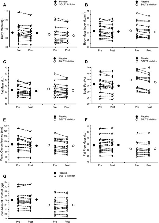 Endurance exercise training favorably modifies body mass and composition; SGLT2 inhibition does not attenuate these adaptations. (A) Body mass. (B) BMI. (C) Fat mass. (D) Percentage body fat. (E) Waist circumference. (F) Fat-free mass. (G) Bone mineral content. In all panels, Pre and Post refer to data collected before and after 12 weeks of supervised exercise training, respectively. Closed and open circles represent mean responses for placebo and SGLT2 inhibition, respectively. Male symbols and dashed lines represent individual male participant responses. Female symbols and dotted lines represent individual female participant responses. All closed symbols represent placebo. All open symbols represent SGLT2 inhibition. See Table 2 for results of statistical analysis.