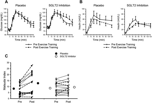 Endurance exercise training favorably modifies insulin sensitivity; SGLT2 inhibition does not attenuate these adaptations. (A) Circulating glucose concentration after ingestion of 75 g of glucose. (B) Circulating insulin concentration after ingestion of 75 g of glucose. (A and B) Data are mean ± SE. Open circles and solid lines represent data before exercise training. Closed circles and dashed lines represent data after exercise training. (C) Closed and open circles represent mean responses for placebo and SGLT2 inhibition, respectively. Male symbols and dashed lines represent individual male participant responses. Female symbols and dotted lines represent individual female participant responses. All closed symbols represent placebo. All open symbols represent SGLT2 inhibition. Data are mean ± SE. See Table 4 for data pertaining to calculated areas under the curves and results of statistical analysis.