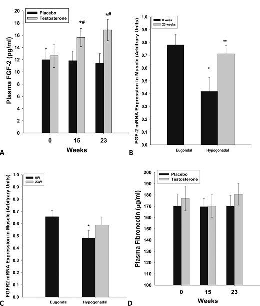 Plasma concentrations of (A) FGF2 and (D) fibronectin in men with HH after 23 wk of testosterone (n = 12) or placebo (n = 10) treatment. *P < 0.05 as compared with 0 wk in the testosterone group; #P < 0.05 as compared with placebo. Basal mRNA expression of (B) FGF-2 and (C) FGFR2 in skeletal muscle of eugonadal men and men with HH and change in expression after 23 wk of testosterone treatment in the men with HH. *P < 0.05 as compared with eugonadal men; **P < 0.05 as compared with 0 wk in the HH group.