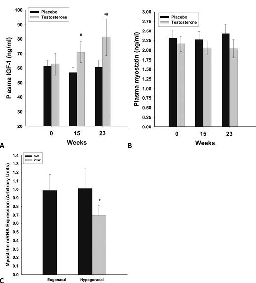 Plasma concentrations of (A) IGF-1 and (B) myostatin in men with HH after testosterone (n = 12) or placebo (n = 10) treatment for 23 wk. (C) Basal mRNA expression of myostatin in skeletal muscle of eugonadal men and men with HH and change in expression following testosterone treatment for 23 wk in hypogonadal men. *P < 0.05 as compared with 0 wk; #P < 0.05 as compared with placebo.