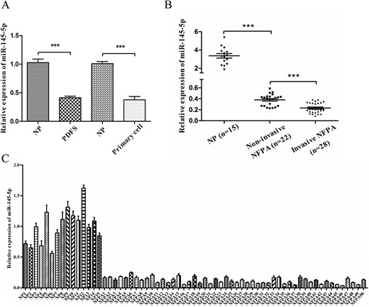 Expression of miR-145-5p in human NFPA specimens, PDFS cells, and NFPA primary cells. (A) miR-145-5p expression in PDFS and primary cells, both of which were substantially reduced. (B) Expression of miR-145-5p was significantly downregulated in human NFPA specimens. (C) The relative expression of miR-145-5p in each NFPA (n = 50) and NP tissues (n = 15) was analyzed using qRT-PCR. Values from NP were designated as 1, against which the values from pituitary tumors were normalized. ***P < 0.001.