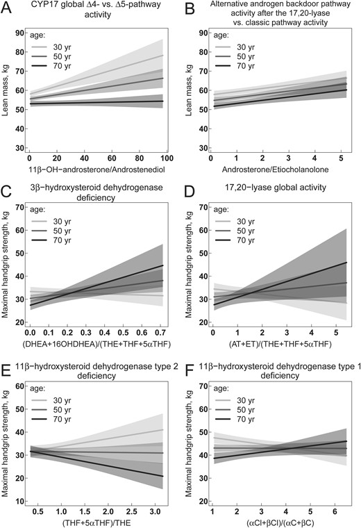 (A–F) Association of steroid hormone metabolite ratios reflecting enzyme activities with lean mass and maximal handgrip strength. Increasing values of the ratios are indicative of an increasing enzyme activity or an increasing enzyme deficiency, or an increasing activity of an enzyme pathway in proportion to another enzyme pathway as described in the enzyme names. Multivariable regression models are visualized by showing the relationship between steroid hormone metabolite ratios and lean mass (A and B) or handgrip strength (C–F) while holding the effect of all other covariables in the model constant. Models in (A) and (B) are adjusted for sex, age, BH, daily physical activity, current smoking, regular caffeine and alcohol consumption, hypertension, diabetes, serum albumin, estimated glomerular filtration rate, hemoglobin, and study center. Models in (C)–(F) are additionally adjusted for lean mass. The relationships are visualized separately for belonging to the nearest class of age with breaks at 30, 50, and 70 y. Solid lines represent regression lines, and the shaped areas represent the corresponding 95% CI. Different slopes of regression lines indicate a significant interaction between steroid hormones and age in the models. The statistical R package visreg was used to generate all figures (60). 5αTHF, allo-TH-cortisol; 16OHDHEA, 16α-OH-dehydroepiandrosterone; DHEA, dehydroepiandrosterone; THE, TH-cortisone; THF, TH-cortisol; αC, α-cortol; αCl, α-cortolone; βC, β-cortol; βCl, β-cortolone.