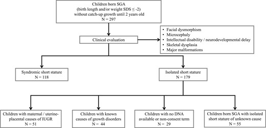 Strategy used to select children born SGA with isolated short stature of unknown cause included in the present study. IUGR, intrauterine growth restriction.