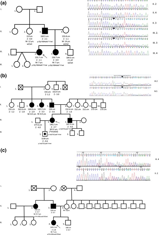 Pedigrees and sequencing data of three distinct families (panels a, b and c) with DLK1 mutations. Unaffected male family members (□) and female family members (○); clinically affected male family members (▪) and female family members (●); asymptomatic carriers (symbols with black circles); and deceased family members (symbols with X) are shown. Arrows indicate the proband in each family. DLK1 variants were confirmed and/or segregated in family members by Sanger sequencing. The DLK1 genotypes are shown for family members whose DNA was available for genetic analysis. M, age at menarche; Z, height z score.