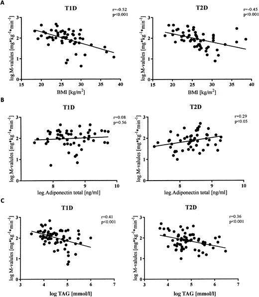 Univariate regression analysis of log-transformed (natural logarithm) M-values in T1D and T2D. Data presented as scatter plots with regression line. (A) Association with BMI. (B) Association with adiponectin. (C) Association with triacylglyceride.