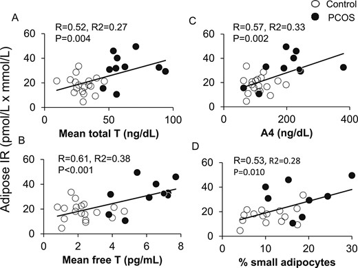 Positive correlations of adipose-IR with serum (A) total T, (B) free T, and (C) A4 levels in normal-weight women with PCOS (n = 10) and control subjects (n = 18) combined. (D) Positive correlation of adipose-IR and percentage of small SC abdominal adipocytes in these same normal-weight women with PCOS (n = 8) and control subjects (n = 15) combined. Adipose-IR is defined as the product of fasting circulating insulin (pmol/L) and total fatty acid (mmol/L) levels. A4, androstenedione; T, testosterone.