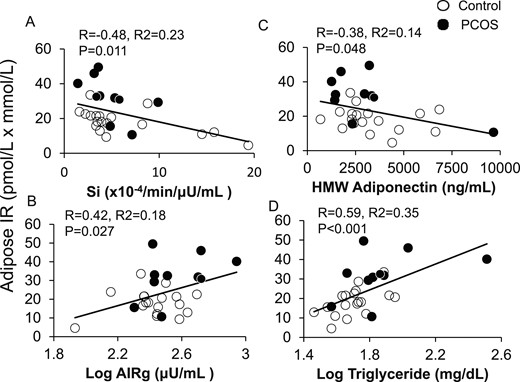 Positive and negative correlations of adipose-IR with (A) whole-body Si, (B) log AIRg, (C) serum HMW adiponectin levels, and (D) log fasting plasma TG levels in normal-weight women with PCOS (n = 10) and control subjects (n = 18) combined. Adipose-IR is defined as the product of fasting circulating insulin (pmol/L) and total fatty acid (mmol/L) levels.