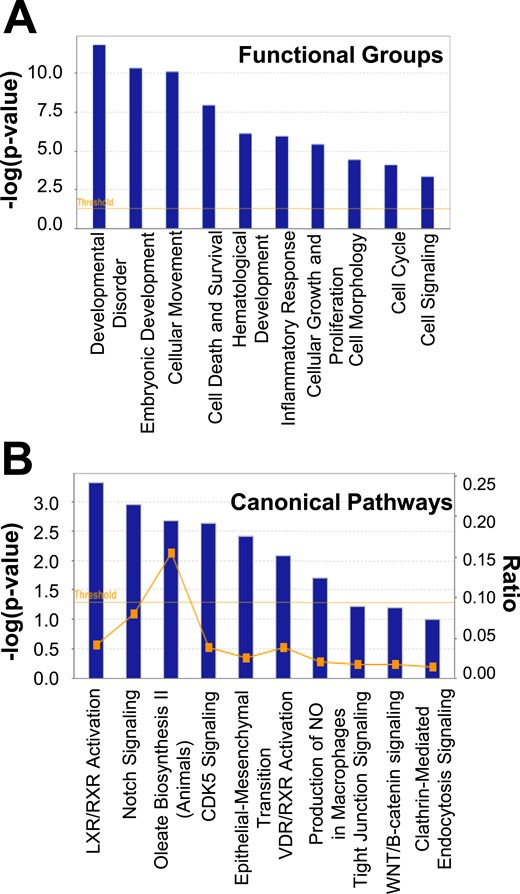 (A) Functional group categories and (B) canonical pathways generated by Ingenuity Pathway Analysis based on differentially expressed genes between SC abdominal ASCs of normal-weight women with PCOS and control subjects. NO, nitric oxide.