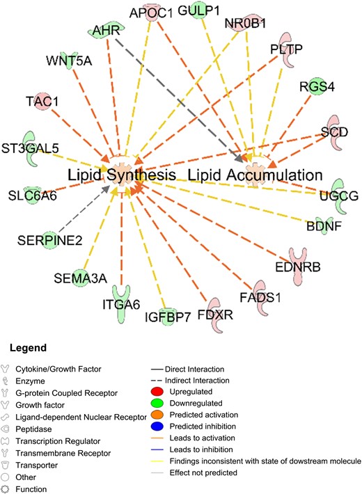 Differentially expressed SC abdominal ASC genes between women with PCOS (n = 4) and control subjects (n = 4) that involve lipid synthesis and/or accumulation.