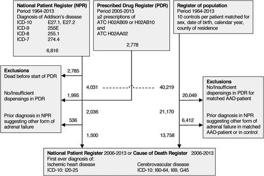 Flowchart of study participants. Dashed line indicates point of matching patients with AAD to controls.