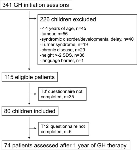Patient flowchart.