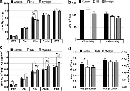 (a) Mitochondrial respiratory capacity in skeletal muscle. From protocols 1–3: control group, n = 17; NS group, n = 39; myalgic group, n = 23. ETF: control group, n = 17; NS group, n = 24; myalgic group, n = 9. (b) Activity of CS (marker of mitochondrial content) and β-hydroxy acyl-CoA dehydrogenase (marker of β-oxidation capacity). Control group, n = 14; NS group, n = 36; myalgic group, n = 21. (c) Mitochondrial intrinsic respiratory capacities (from protocols 1–3). Oxygen flux rates are normalized to mitochondrial content (CS activity). Control group, n = 14; NS group, n = 36; myalgic group, n = 20. (d) Maximal ROS production with oxygen flux through mitochondrial complex I and II (protocol 4). Control group, n = 15; NS group, n = 32; myalgic group, n = 12). CIP, complex I–linked respiration; CIIP, complex II–linked respiration; CI+IIP, complex I+II–linked respiration; ETF, electron-transferring flavoprotein (lipid oxidation with 50 µM palmitoyl carnitine). ETS, electron transport system capacity, maximal uncoupled respiration; HAD, β-hydroxy acyl-CoA dehydrogenase; ROS pr O2flux, maximal H2O2 production normalized to oxygen consumption (pmol O2/s/mg) at the same substrate combination.*P < 0.05; **P < 0.01; ***P < 0.001; #P < 0.1.