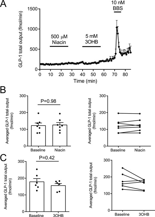 (A–C) Effects of intra-arterial niacin and 3-hydroxybuturate (3OHB) on GLP-1 secretion from isolated perfused rat small intestine. Intra-arterial bombesin (BBS) was included in all experiments as positive control. nA-C = 6.