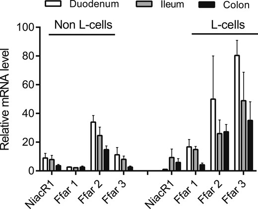 Relative expression levels of NiacR1 (also known as HCA2 receptor) in sorted primary l-cells and non-l-cells from mouse mucosa. Expression in biopsies taken from duodenum, ileum, and colon is shown. Expression levels of the fatty acid–sensitive receptors FFAR1 through FFAR3 are shown for comparison. Data are presented as mean ± SEM, n (duodenum) = 2, n (ileum and colon) = 3.