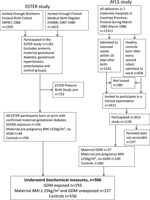 Flowchart of the study population, including participants from two birth cohort studies.