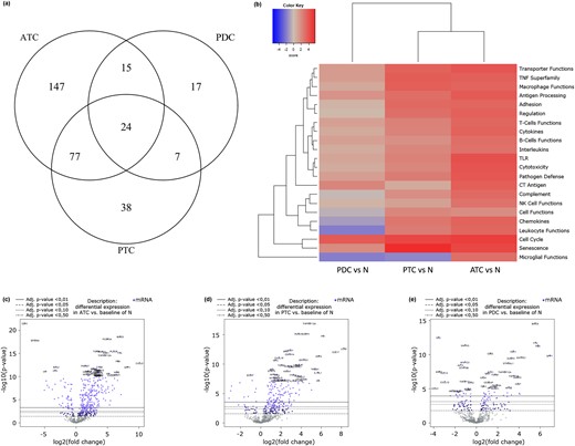 Gene expression data. (a) Venn diagram of genes showing a statistically significant expression change. ATC presented a statistically significant expression change (P-value BY < 0.01) in 263 genes, PTC in 146, and PDTC in 63. (b) Heatmap displaying each sample’s directed global significance scores. Directed global significance statistics measure the extent to which a gene set’s genes are up- or downregulated with the variable. Red denotes gene sets whose genes exhibit extensive overexpression with the covariate, blue denotes gene sets with extensive underexpression. ATC show the more extensive upregulation of all the 22 gene sets compared with NT samples, followed by PTC (19 upregulated gene sets, 1 downregulated one, and 2 neutrals). Conversely, PDTC display a slight upregulation only of 10 gene sets and the downregulation of four (eight resulted neutral). (c–e) Volcano plots displaying each gene’s -log10 (P-value) and log-twofold change with the selected covariate. Highly statistically significant genes fall at the top of the plot above the horizontal lines, and highly differentially expressed genes fall to either side. Horizontal lines indicate various P-value thresholds. Genes are colored if the resulting P-value is below the given P-value threshold. The 40 most statistically significant genes are labeled in the plot. (c) ATC show a high density of statistically significant upregulated genes and only few statistically significant downregulated genes. (d) PTC show a slightly lower density of statistically significant upregulated genes and only few statistically significant downregulated genes. (e) PDTC display a far lower number of statistically significant gene expression changes and a clear equability between up and downregulated genes.