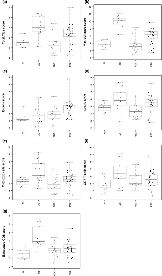 Immune infiltrate cell type profiling. Genes previously shown to be characteristic of various cell populations are used to measure these populations’ abundance. Covariates plots that compare cell type measurements to histological covariates are presented. (a) TILs. TIL score is extrapolated from the measures of the abundance of the considered cell populations. ATC show the highest median TIL score, followed by PTC. Conversely, PDTC display the lowest median TIL score, even lower than that of NT samples. (b) Macrophages. Median macrophage score results significantly higher in ATC and to a lower extent in PTC compared with NT samples. In PDTC median macrophage score is below that of NT samples. (c) B cells. Median B-cell score results significantly higher in PTC and to a lower extent in ATC and PDTC compared with NT samples. (d) T cells. Median T-cell score results significantly higher in ATC and to a lower extent in PTC compared with NT samples. In PDTC median T-cell score is below that of NT samples. (e) Cytotoxic cells. Median cytotoxic cell score results significantly higher in ATC and to a lower extent in PTC compared with NT samples. In PDTC median cytotoxic cell score is below that of NT samples. (f) CD8+ T cells. Median score of CD8+ T cells shows the following trend: ATC > PTC > PDTC > NT. (g) Exhausted CD8+ T cells. Median score of exhausted CD8+ T cells shows the following trend: ATC > PTC > PDTC = NT.