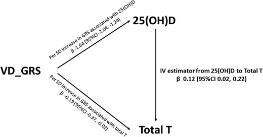 Instrumental variable (IV) estimated association between 25(OH)D and total T. Data were adjusted for age, economic status, current smoking, BMI, hypertension, and diabetes.