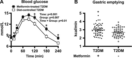 (A) Blood glucose concentrations in response to a standardized carbohydrate meal (given at t = 0) in patients with T2DM managed with or without metformin. ANOVA results are reported as P values for differences by group, differences over time, and differences due to group by time interaction. Post hoc comparisons were adjusted by Bonferroni correction. (B) Gastric emptying rate in patients with T2DM and healthy older subjects as assessed by 13C-octanoic acid breath test. Data are mean ± SEM. *P < 0.05 for patients with T2DM with metformin vs patients with T2DM without metformin.