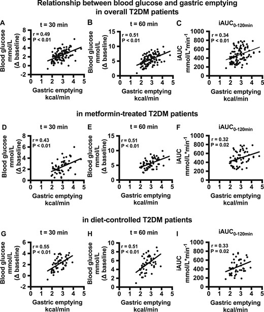 (A–C) Relationship between the blood glucose increment (at t = 30 and 60 min after the meal and the iAUC for blood glucose during 0 to 120 min) and gastric emptying rate in overall patients with T2DM. (D–F) Relationship between the blood glucose increment (at t = 30 and 60 min after the meal and the iAUC for blood glucose during 0 to 120 min) and gastric emptying rate in the patients with T2DM taking metformin. (G–I) Relationship between the blood glucose increment (at t = 30 and 60 min after the meal and the iAUC for blood glucose for 0 to 120 min) and gastric emptying rate in the patients with T2DM without metformin.