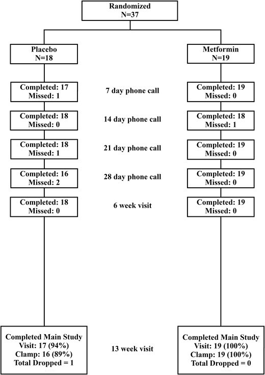 Consort diagram. Participant visit and call follow up after randomization is shown above.