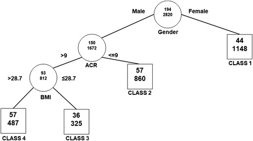 Tree structure for the identification of patient subgroups with different characteristics and different risk of outcome. RECPAM risk classes for primary composite outcome. Circles represent splitting nodes; squares represent the final classes. The first number in each figure represents the total number of patients with the event; the second number represents the total number of patients included in the group.
