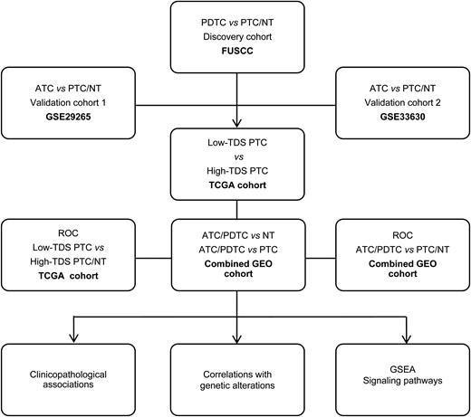 Flow graph of the current study. This study included the FUSCC cohort, the TCGA cohort, and the GEO cohorts (GSE29265, GSE33630, GSE53157, GSE65144 and GSE76039).