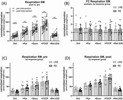 Effect of exercise intervention on respiration in skeletal muscle fibers. Muscle fibers were permeabilized and mitochondrial respiration was measured in presence of different substrates and inhibitors before and after intervention, always in presence of saturating malate and ADP. Substrates and inhibitors were added subsequently, thus “+Pyr” respiration is in presence of octanoylcarnitine (Oct), ADP, and malate. (A) Oxygen consumption per wet weight in skeletal muscle fibers (SM) pre (open diamonds) and post (filled diamonds) intervention. (B-D) Data from (A) grouped in low-responders (LRE, open circles) and responders (RE, filled circles) in ISIMats. (B) Fold change in oxygen consumption post- vs pre-intervention (dashed line: pre-intervention data set as 1), (C) oxygen consumption pre- and (D) post-intervention. Abbreviations: FCCP, carbonyl cyanide-p-trifluoromethoxyphenylhydrazone, uncoupling of respiration from ATP synthesis; Pyr, pyruvate; Rot, rotenone, inhibitor of complex I, leaving only complex II (CII) respiration active; Succ, succinate. Multiple paired t-tests, no correction for multiple comparisons. N = 24-25, mean ± SD, * P < 0.05, ** P < 0.01, *** P < 0.001. Where data were not normally distributed, unpaired 2-samples Wilcoxon test was used.