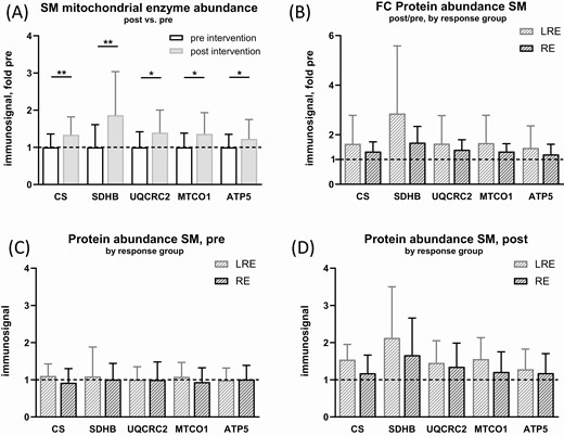 Effect of exercise intervention on mitochondrial enzyme abundance in skeletal muscle fibers. Fibers were recovered from respirometric chambers after measurement and protein extracts were generated. Immunoblot analysis was performed for mitochondrial key enzymes and signals were normalized to loaded protein measured by 2,2,2-trichloroethanol (TCE) membrane stain and standardized to the mean immunosignal of pre-intervention data (dashed lines). (A) mitochondrial enzyme immunosignal in skeletal muscle fibers (SM), comparison pre-intervention and post-intervention as fold change (FC) over pre-intervention. (B-D) Data from A) subdivided into low-responders (LRE) and responders (RE) in ISIMats. (B) Fold change post- vs pre-intervention, protein immunosignal, (C) pre- and (D) post-intervention. Multiple paired t-tests, no correction for multiple testing. N = 22-24, mean ± SD. *: P < 0.05, **: P < 0.01. Where data were not normally distributed, unpaired 2-samples Wilcoxon test was used.