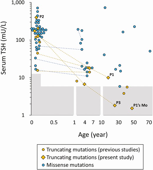 Distribution of serum thyrotropin (TSH) levels of PAX8 mutation carriers. The serum TSH levels, which were measured with no levothyroxine therapy, were plotted by age according to the types of mutations (blue symbols, missense mutations; yellow symbols, truncating mutations). The shaded areas indicate the reference range.