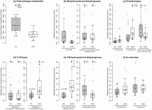 Differences in androgen excretion and steroid enzyme activities calculated from substrate to product conversion ratios between girls with premature adrenarche (PA) and control girls. Boxplots show the range of total androgen excretion and metabolite ratios for PA girls and controls. Ratios are given as substrate over product conversion by specific enzymes, thus a lower ratio reflects a higher enzyme activity. Grey boxes represent PA girls (PA), white boxes represent control girls (CON), black dots are individual values of patients or controls. Each box covers the distribution of the data from the first quartile to the third quartile, and the horizontal line inside the box represents the median. The whiskers extend to 1.5x interquartile range below the first quartile and 1.5x interquartile range above the third quartile, respectively. (a) Total androgen metabolite secretion (nmol/24 hours) amounts of ANDRO, ETIO, DH-ANDRO, 11-OXO-ETIO, 11b-OH-ANDRO, 11b-OH-ETIO, DHEA, ANDRO-DIOL, 16a-OH-DHEA, 5-AT, 5-PT, TST, and 5a-TST. (b) 3β-hydroxysteroid dehydrogenase activity, calculated from 5-PT/THE and (DHEA + 16a-OH-DHEA + 5-AT)/(ANDRO + ETIO). (c) 21-hydroxylase activity, calculated from PTONE/THE, PTONE/a-CN, and 17-HP + 5-PT + PTONE)/(THE + THF + 5a-THF). (d) 17,20-lyase Δ5-pathway activity calculated from 5-PT/(DHEA + 16a-OH-DHEA) and 17,20-lyase Δ4-pathway calculated from 17-HP/(ANDRO + ETIO). (e) 17β-hydroxysteroid dehydrogenase activity calculated from (THE + THF + 5a-THF)/(ANDRO + ETIO) and DHEA/ANDRO-DIOL. (f) 5α-reductase activity calculated from ETIO/ANDRO and THF/5a-THF. Mann-Whitney U tests for differences between PA girls and control girls detected higher activities of 17,20-lyase (CYP17A1) Δ4-pathway (P = 0.052) and of 17β-hydroxysteroid dehydrogenase (HSD17B), as indicated by the excretion of C19 metabolites (P = 0.002) in PA girls. Abbreviations: For metabolite abbreviations see Table 1.