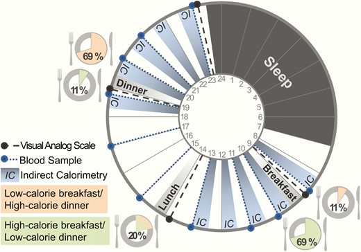 Study protocol on the experimental days. Participants had breakfast at 9 am, lunch at 2 pm and dinner at 7 pm. Each individual participated in 2 blinded conditions: 1) high-calorie breakfast (69% of total energy expenditure [TEE]) and low-calorie dinner (11% of TEE), and 2) low-calorie breakfast (11% of TEE) and high-calorie dinner (69% of TEE). Lunch was identical in both conditions (20% of TEE).