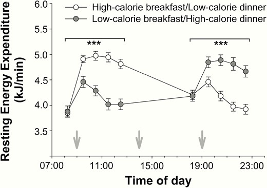 Effects of high- and low-calorie meal intake at breakfast and dinner on resting energy expenditure (mean ± SEM) in normal-weight men (n = 16). White circles: high-calorie breakfast combined with low-calorie dinner. Gray circles: low-calorie breakfast combined with high-calorie dinner. Gray arrows: start of food intake. ***P < .001.