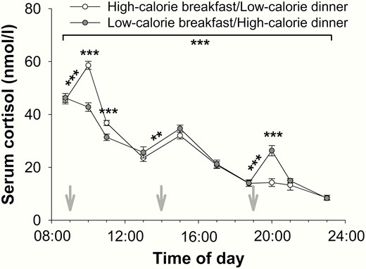 Effects of high- and low-calorie meal intake at breakfast and dinner on blood cortisol concentrations (mean values ± SEM) in normal-weight men (n = 16). White circles: high-calorie breakfast combined with low-calorie dinner. Gray circles: low-calorie breakfast combined with high-calorie dinner. Gray arrows: start of food intake. **P < .01; ***P < .001.