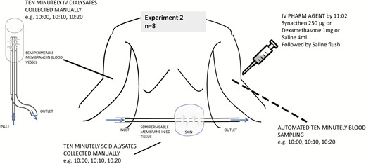 Protocol for experiment 2. Ten-minute sampling was done from 09:55 to 15:05 manually for subcutaneous and intravenous free cortisol. Automated sampling of blood was done from 10:00 to 15:00. Pharmacological agent including saline/placebo was injected by 11:02. Lunch was served at 12:00.