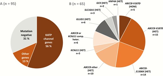 The frequencies of pathogenic or likely pathogenic variants in all patients with P-CHI (A) and the distribution of these variants (B).
