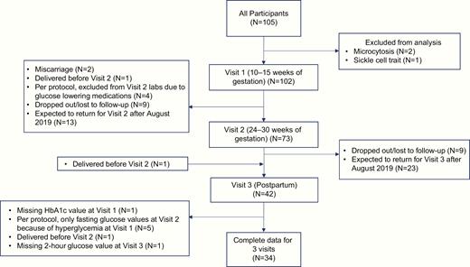 Inclusion and follow-up of study participants. A flow chart describing the inclusion and follow-up of participants study of pregnancy regulation of insulin and glucose for the present analysis.