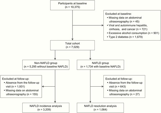 Flowchart of the study population.