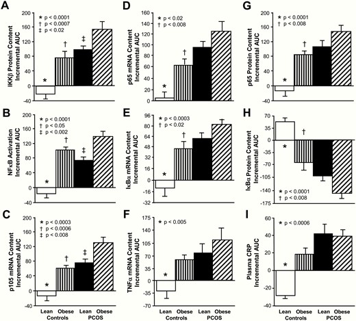 Comparison of the 4 study groups of the incremental area under the curve (iAUC) in response to saturated fat ingestion for mononuclear cell (MNC)-derived (A) inhibitory κB kinase-β (IKKβ) protein content, (B) activated nuclear factor κB (NFκB) (C) p105, (D) p65, (E) inhibitory κBα (IκBα) and (F) TNFα mRNA content, (G) p65 and (H) IκBα protein content, and (I) plasma C-reactive protein (CRP) levels. Data are presented as mean ± standard error. *The iAUC in lean control subjects was significantly different compared with the other 3 groups; (A, B, E, G, and H) P < .0001, (C) P < .0003, (D) P < .02, (F) P < .0003, (F) P < .005, and (I) P < .0006. †The iAUC in control subjects with obesity was significantly different compared with women with PCOS and obesity; (A) P < .0007, (B) P < .05, (C, D, G, and H) P < .008, and (E) P < .02. ‡The iAUC in lean women with PCOS was significantly different compared with women with PCOS and obesity; (A) P < .02, (B) P < .002, and (C) P < .008.
