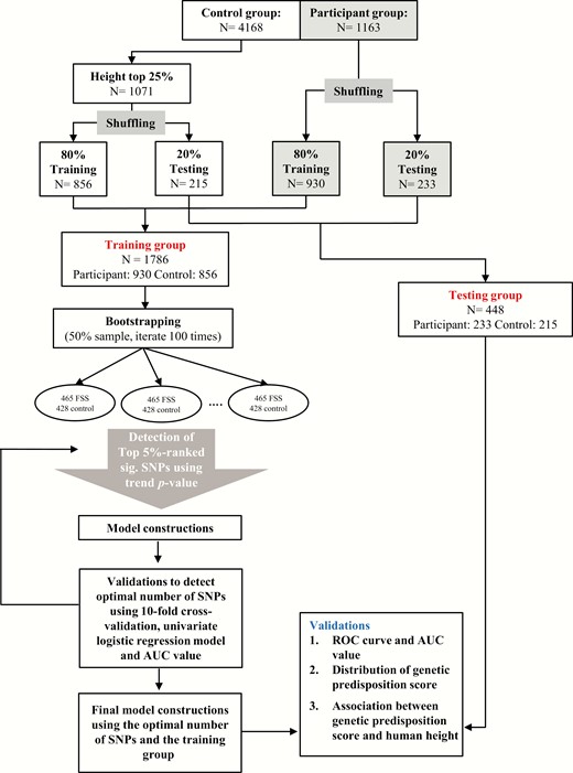 Flow diagram showing the analysis for this study. Abbreviations: AUC, area under the curve; FSS, familial short stature; N, number; ROC, receiver operating characteristic; SNP, single nucleotide polymorphism.