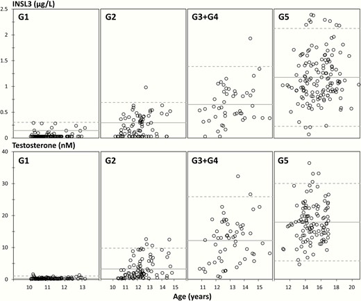 Insulin-like factor 3 (INSL3) (top panels) and testosterone (T) (lower panels) concentrations according to age within each genital stage (G1, G2, G3 + G4, and G5) in 366 and 387 healthy boys and adolescents, respectively, aged 10.0 to 21.8 years. Full lines represent means and dotted lines represent 95% prediction interval.
