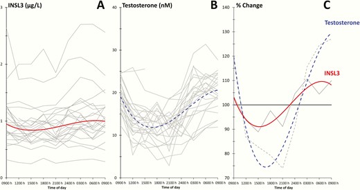 (A and B): Diurnal variation in insulin-like factor 3 (INSL3) and testosterone (T) concentrations in 24 healthy men. Grey lines represent values from individual subjects, and red and blue lines represent fitted curves of INSL3 and T, respectively. (C): Grey lines represent average of all individuals and red and blue lines are fitted curves for INSL3 and T, respectively, and plotted relative to the total average.
