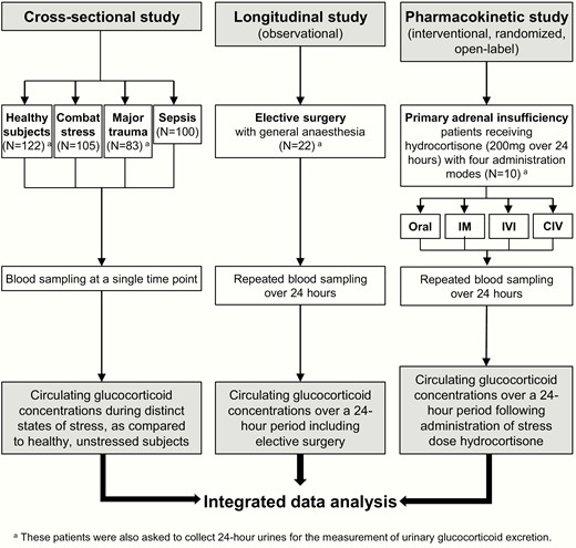 Summary of the studies performed. Assessment of the circulating and urinary glucocorticoid concentrations in response to different stress conditions and to stress dose hydrocortisone administration. Abbreviations: IM, intramuscular injection; IVI, intravenous injection; CIV, continuous intravenous infusion.