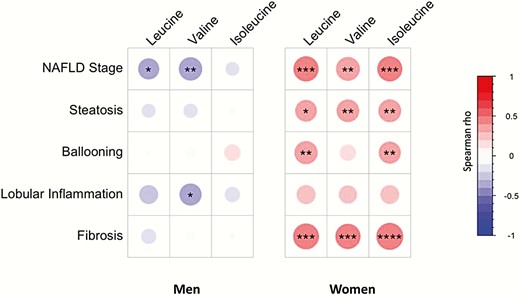 Association between plasma BCAA concentrations and liver histological characteristics are sex dependent. Spearman correlations between plasma BCAA concentrations and liver histological characteristics in the men (n = 53) and the women (n = 59) patients. Colors and area of circles reflect the Spearman rho values (red for positive, blue for inverse correlations). P-values are obtained by Spearman rank test, *P-value < 0.05, **P-value < 0.01, ***P < 0.001, and ****<P-value < 0.0001.