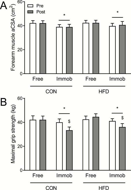 A, Forearm muscle anatomical cross-sectional area (aCSA) and B, maximal grip strength pre-1 week and post-1 week of forearm immobilization in the nonimmobilized (free) and immobilized (immob) arms of healthy young men fed a eucaloric control diet (CON; n = 11) or a high-fat overfeeding diet (HFD; n = 9) providing 50% excess energy from fat. CON and HFD data were compared within the same statistical test (3-way analysis of variance with arm, immobilization, and diet as factors). For muscle aCSA, a significant main effect of arm (ie, free vs immobilized; P < .001; denoted by *), but no effects of immobilization (ie, pre vs post; P = .60), diet (P = .95), or any interactions (all P > .05) were observed. For maximal grip strength, significant main effects of arm (P < .001; denoted by *) and immobilization (P < .001), and an immobilization × arm interaction (P < .001) were observed, with no effect of diet (P = .72) or any other interactions (all P > .05) observed. $Denotes significantly different from corresponding pre value.