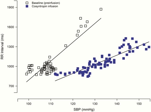 Baroreflex sensitivity of representative participant during modified Oxford technique. Baroreflex sensitivity is represented by the slope of the relationship between systolic blood pressure (SBP) and R-R interval. Data from a single individual displays a decrease in the linear relationship during the morning cosyntropin infusion compared to baseline (preinfusion) the same day. Solid squares denote cosyntropin and open squares denote baseline (preinfusion).